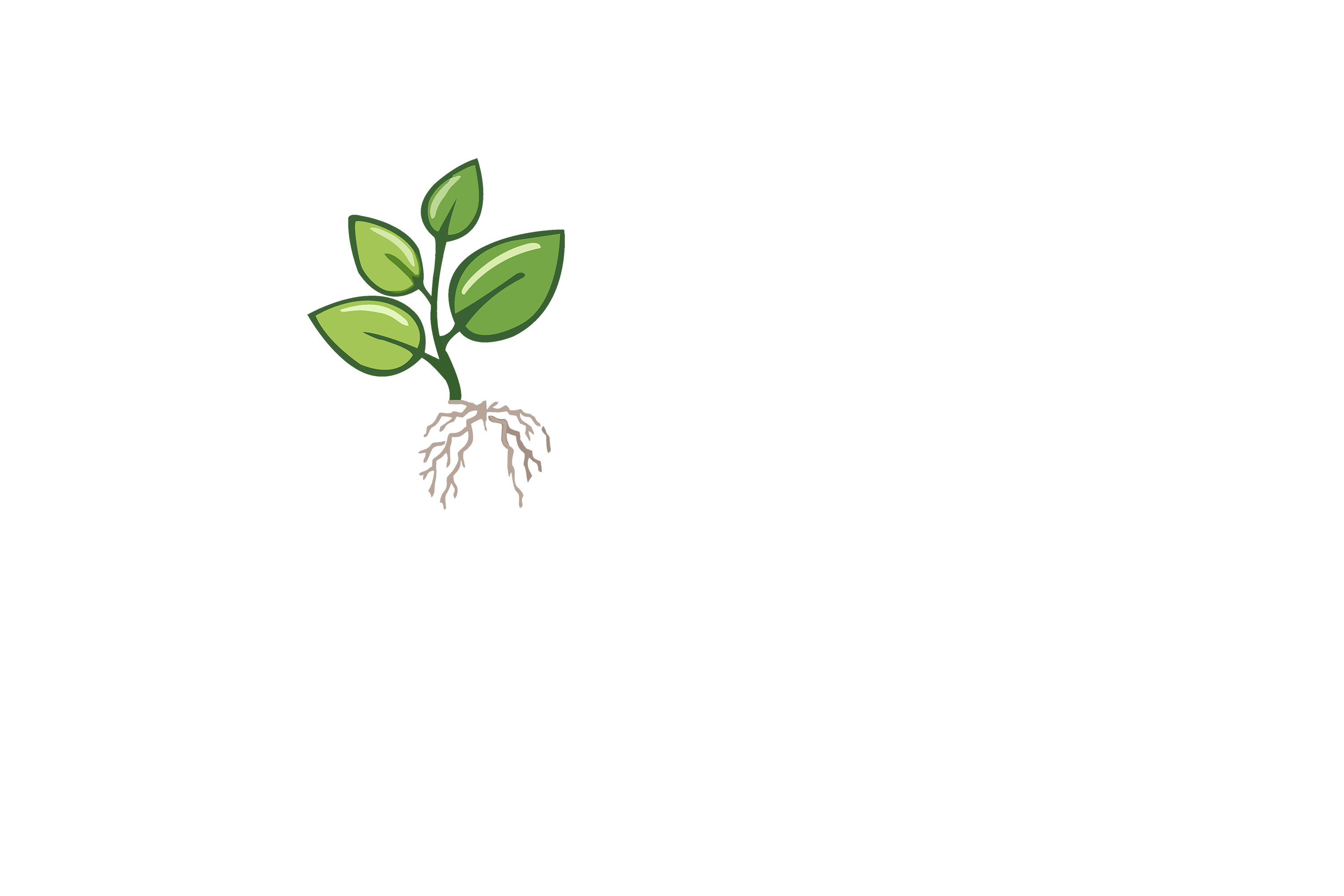 Fattoria da Moutta