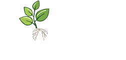 Moutta Farm