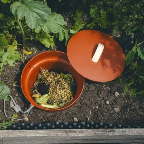 Lombricomposteur a enterrer, couvercle ouvert, dechets de cuisine deposes directement dans la terre d'un potager