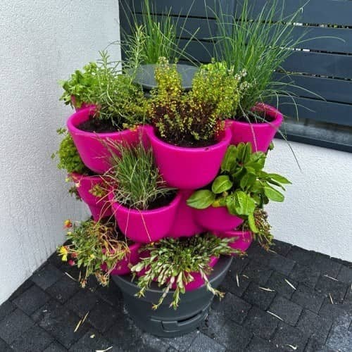 Wormery with planters of aromatic herbs on a terrace