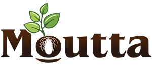 Ferme du Moutta