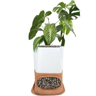 Pot de fleur avec lombricomposteur