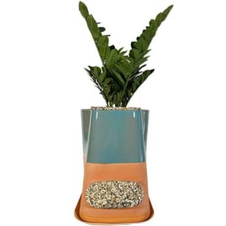 Pot de fleur avec lombricomposteur