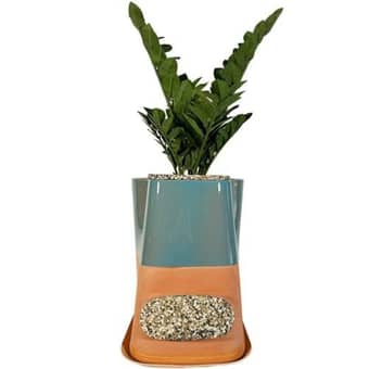 Lombricomposteur Transfarmers