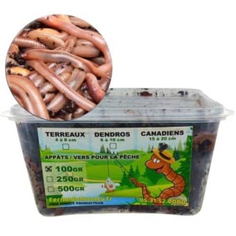 Appât vers canadien