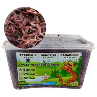 Appât vers de terreau