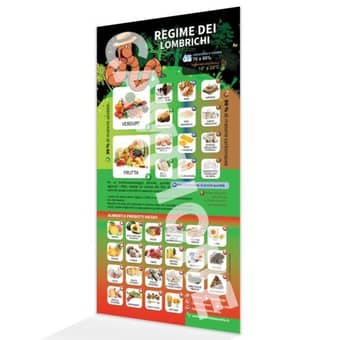 Magnete, Il Regime dei Vermi