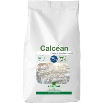 Calcéan, poudre calcaire d'huîtres