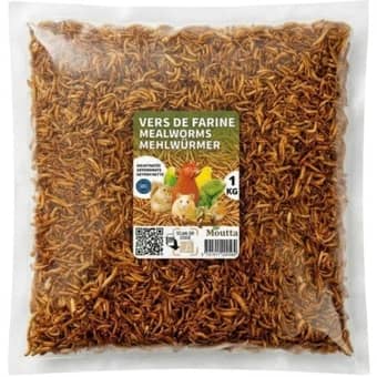 Vers de farine déshydratés