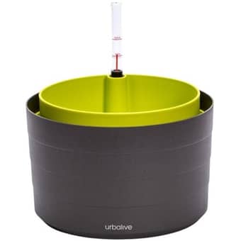 Vaso per fiori / Fioriera autoirrigante Berberis
