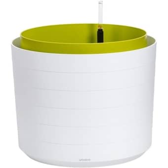 Vaso per fiori / Fioriera autoirrigante Berberis