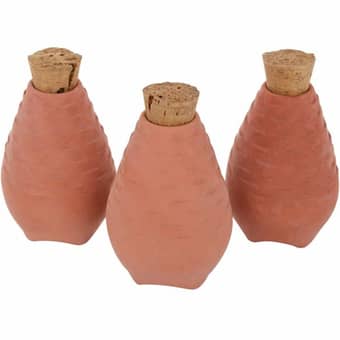 Ollas Poto for Planting