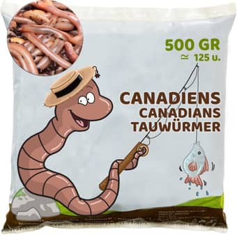 Canadian nightcrawler bait (from November 2026)