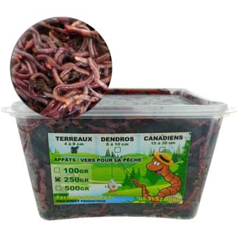 Red wiggler bait