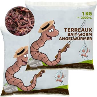 Red wiggler bait