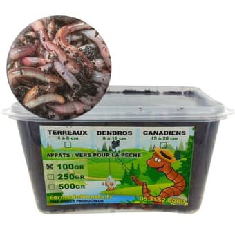 Dendro worm bait