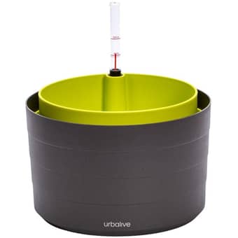 Berberis flowerpot / Self-watering planter