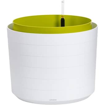 Berberis flowerpot / Self-watering planter