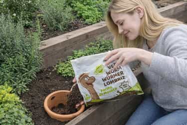 Nos vers pour lombricomposteurs sont idéaux pour transformer vos déchets organiques en un amendement naturel riche et fertile