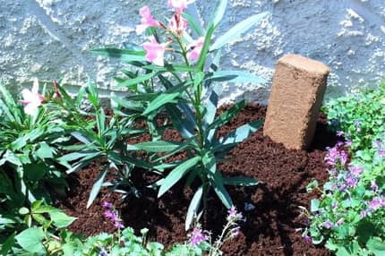 Bloc de fibre de coco pour le jardin