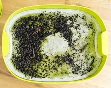 Urbalive avec filtre anti-noyade des vers