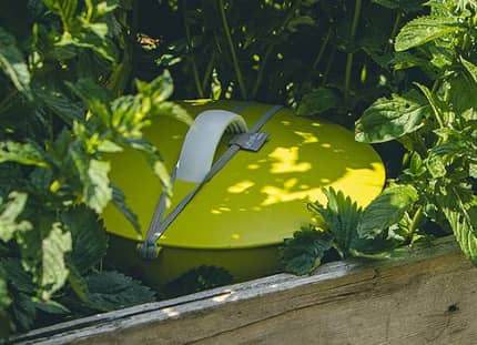 Transformez vos plantation en lombricomposteur avec un In-Ground