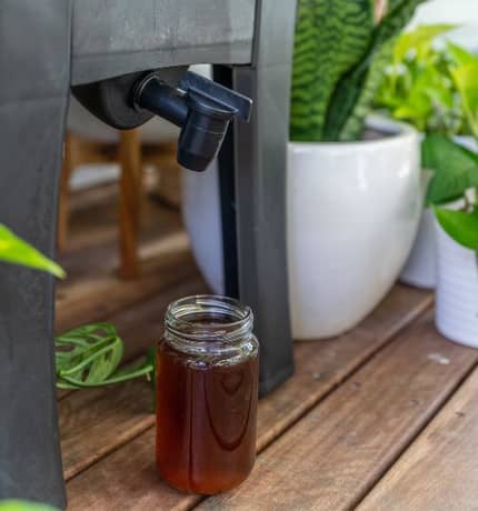 Worm Café robinet avec récupération thé de compost