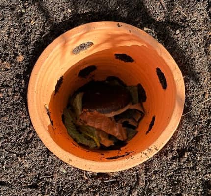 WORMacotta enterrer dans votre jardin ou potager