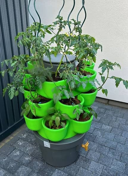 WORMgarden lombricomposteur avec tuteur pour tomate
