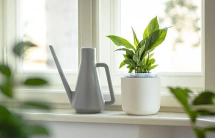 Pot de fleur Tolita Air avec arrosage automatique