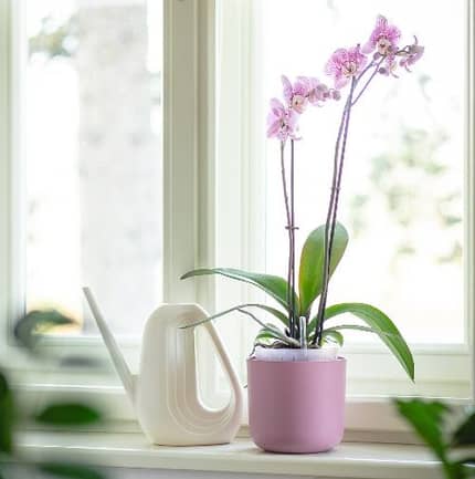 Pot &agrave; Orchid&eacute;e respirant &eacute;vite le pourissement des racines