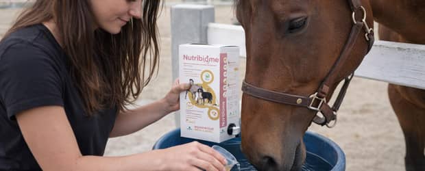 Animaux vivants et accessoires