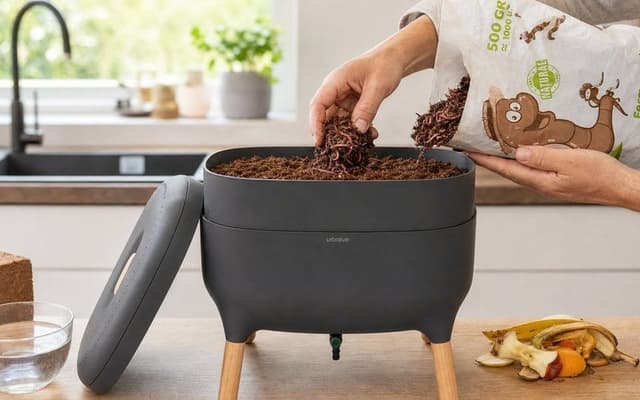 Comment démarrer votre lombricomposteur, étape par étape ?
